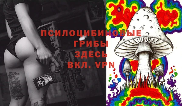 гидропоника Алексин
