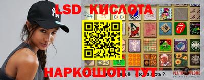 a pvp Камышлов
