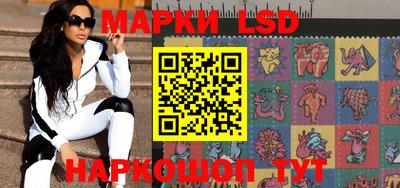a pvp Камышлов