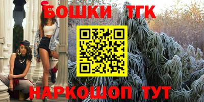 гашик Кинель