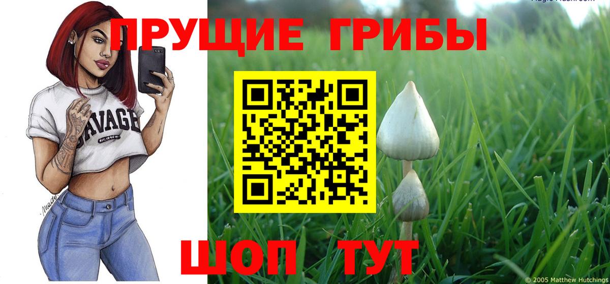 Псилоцибиновые грибы мухоморы Набережные Челны
